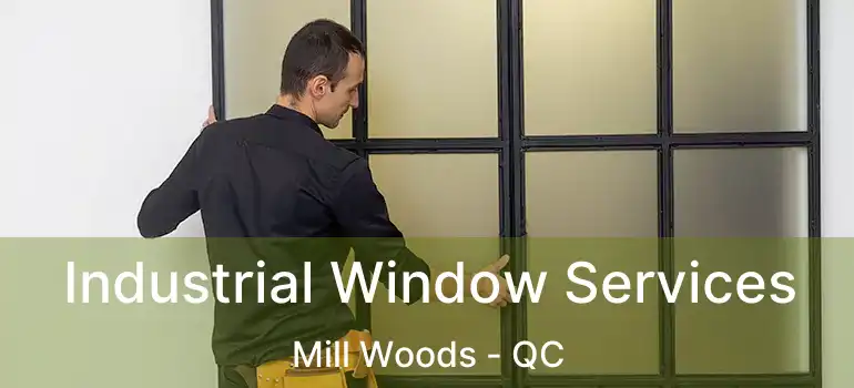  Industrial Window Services Mill Woods - QC
