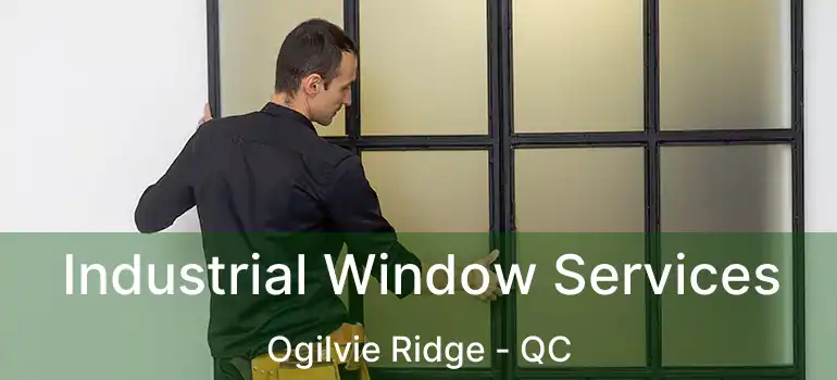  Industrial Window Services Ogilvie Ridge - QC