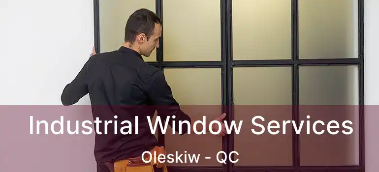  Industrial Window Services Oleskiw - QC