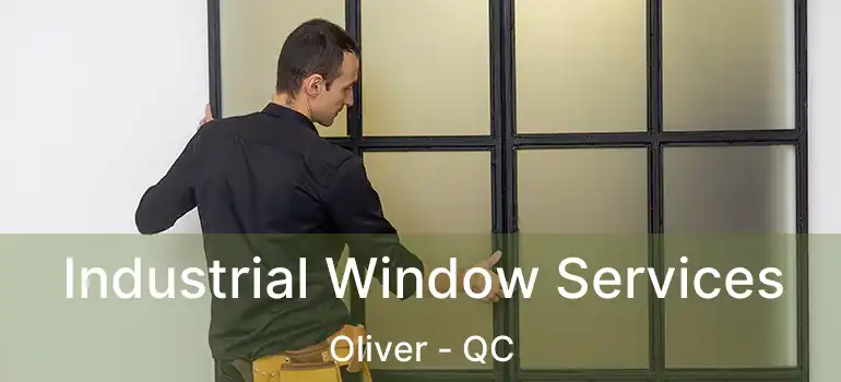  Industrial Window Services Oliver - QC