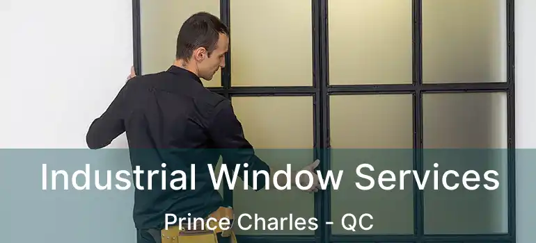  Industrial Window Services Prince Charles - QC