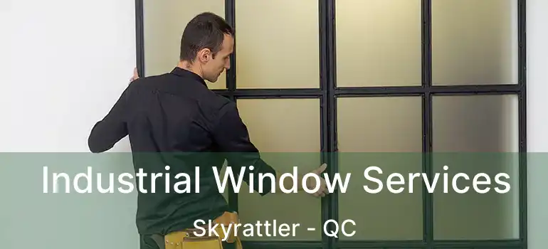  Industrial Window Services Skyrattler - QC