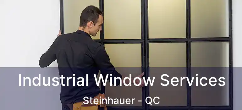  Industrial Window Services Steinhauer - QC