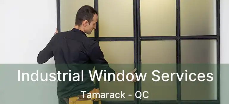  Industrial Window Services Tamarack - QC