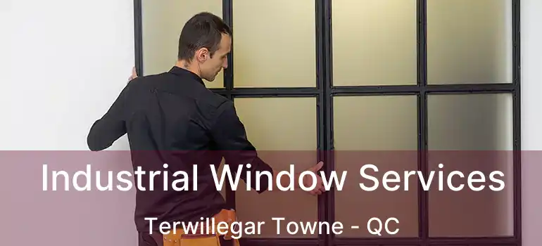  Industrial Window Services Terwillegar Towne - QC