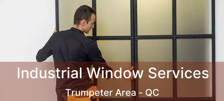 Industrial Window Services Trumpeter Area - QC