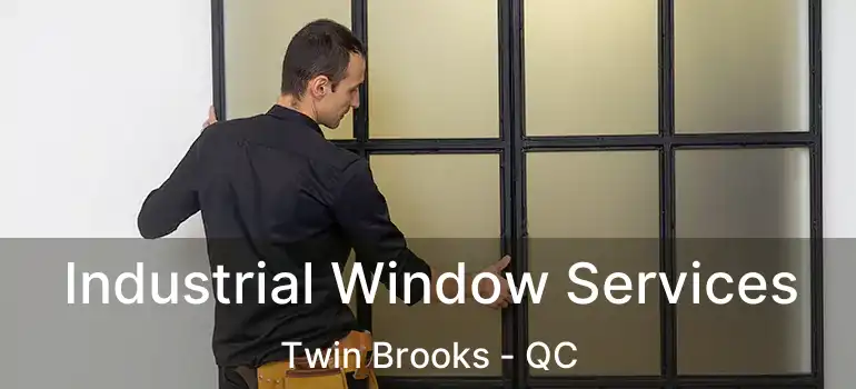  Industrial Window Services Twin Brooks - QC