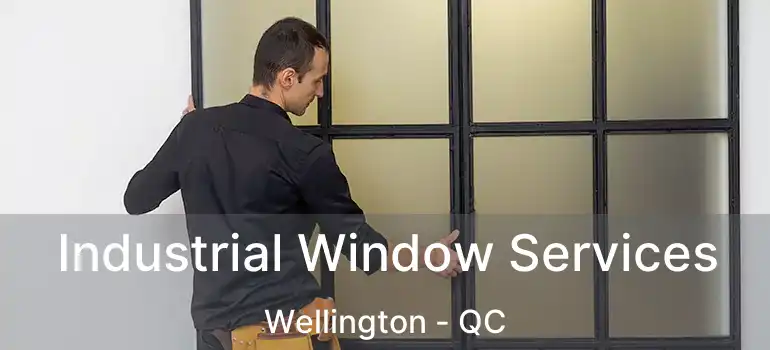  Industrial Window Services Wellington - QC