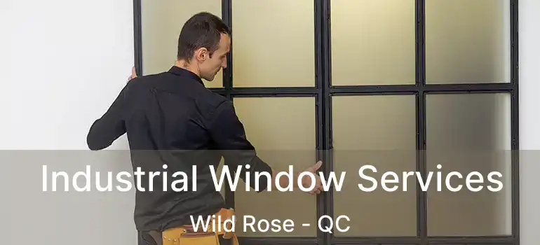  Industrial Window Services Wild Rose - QC