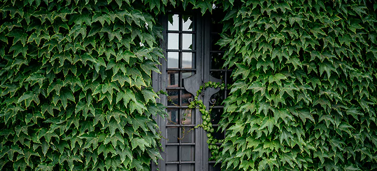 Garden Gate Repair in Sherbrooke, QC
