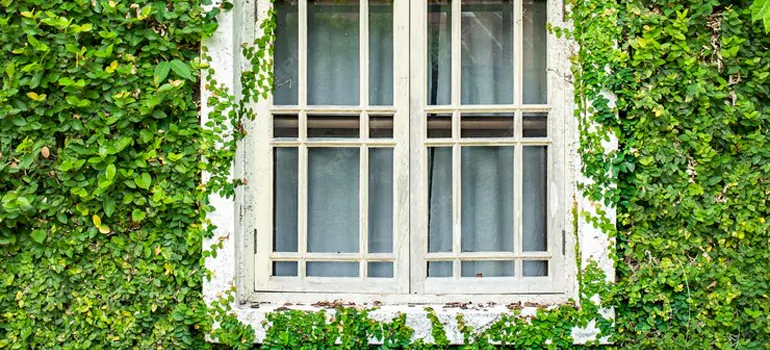arden Window Repair Near Me in Sherbrooke, QC