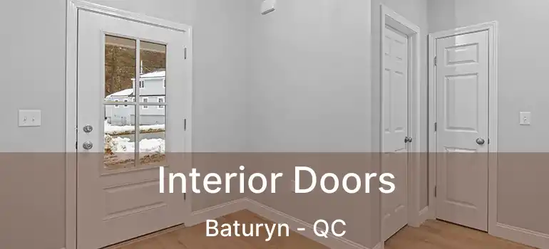 Interior Doors Baturyn - QC