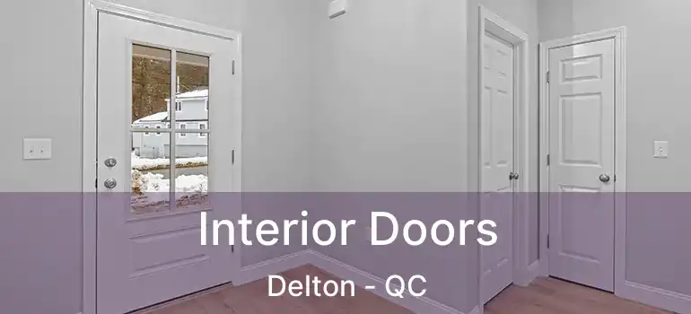  Interior Doors Delton - QC
