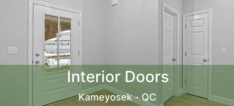  Interior Doors Kameyosek - QC