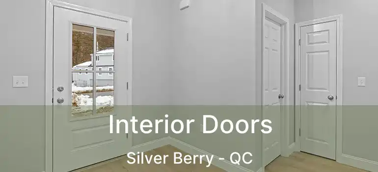  Interior Doors Silver Berry - QC