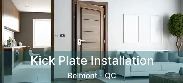  Kick Plate Installation Belmont - QC