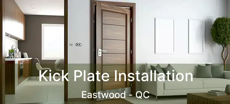  Kick Plate Installation Eastwood - QC