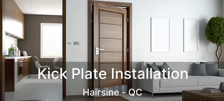  Kick Plate Installation Hairsine - QC