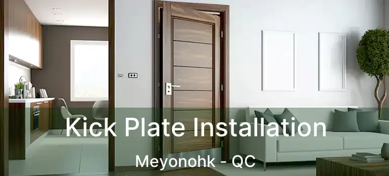  Kick Plate Installation Meyonohk - QC