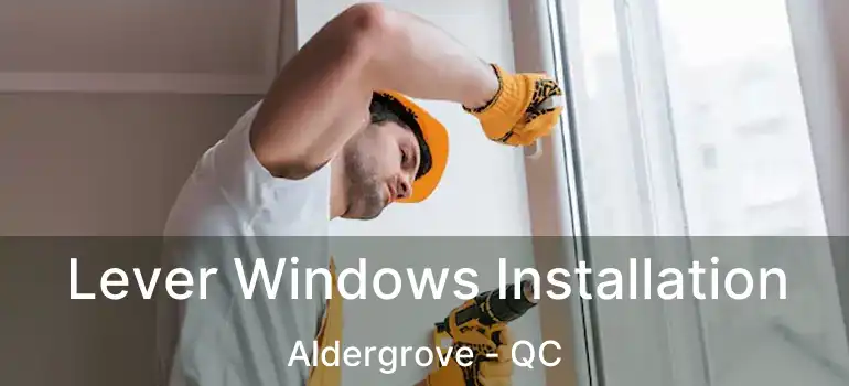  Lever Windows Installation Aldergrove - QC