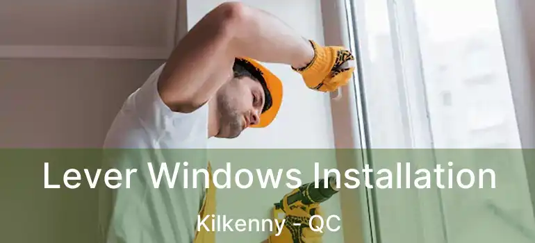  Lever Windows Installation Kilkenny - QC