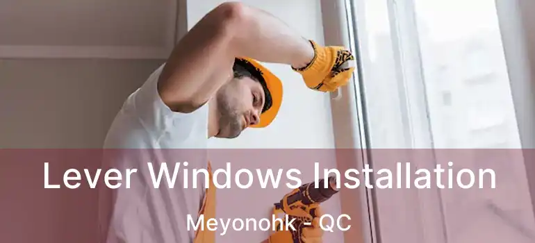  Lever Windows Installation Meyonohk - QC