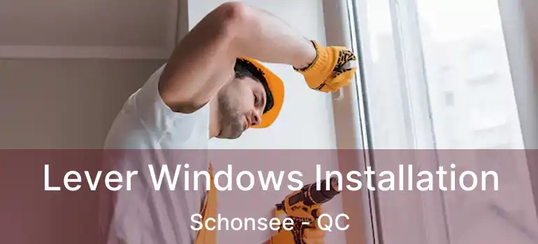  Lever Windows Installation Schonsee - QC
