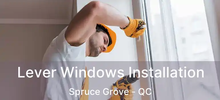  Lever Windows Installation Spruce Grove - QC