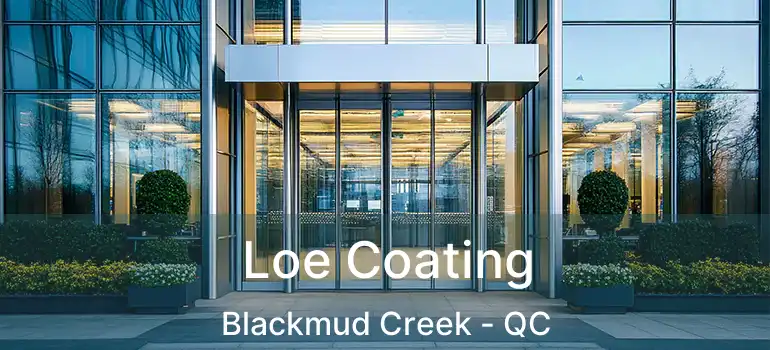  Loe Coating Blackmud Creek - QC