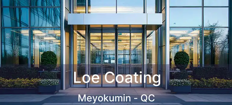  Loe Coating Meyokumin - QC