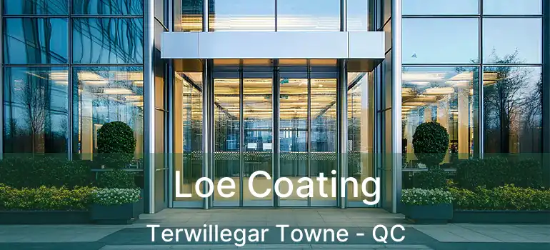  Loe Coating Terwillegar Towne - QC