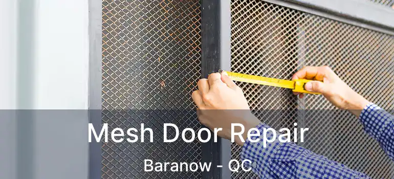  Mesh Door Repair Baranow - QC