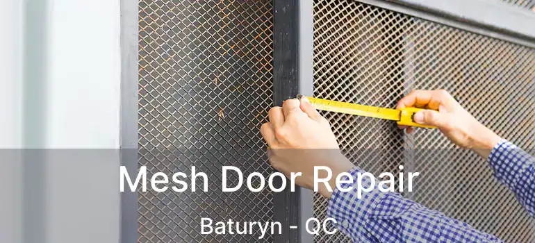  Mesh Door Repair Baturyn - QC