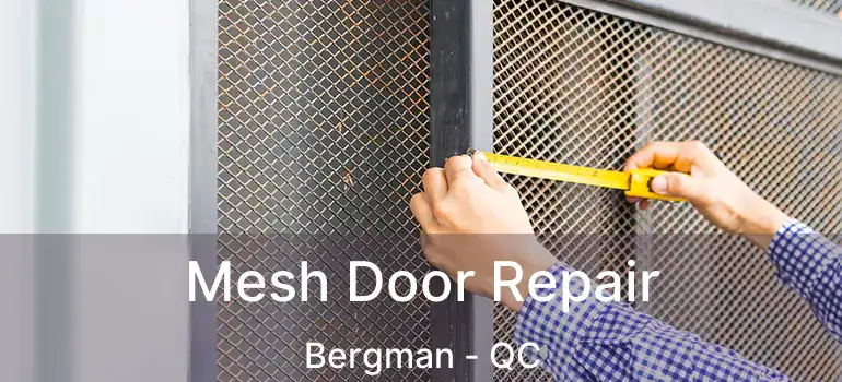  Mesh Door Repair Bergman - QC