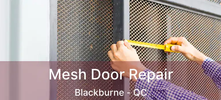  Mesh Door Repair Blackburne - QC