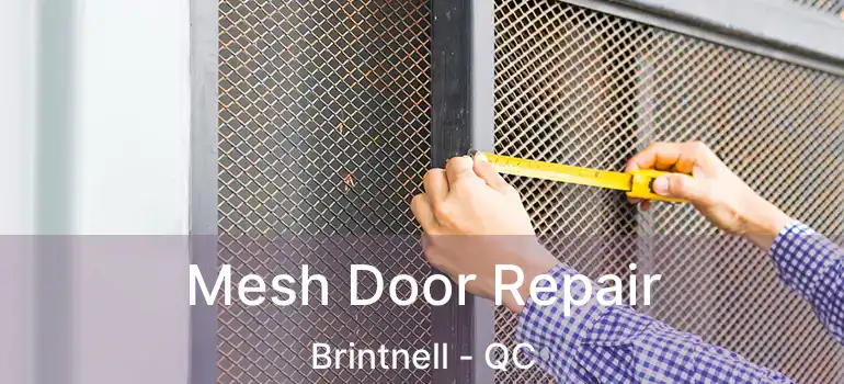  Mesh Door Repair Brintnell - QC