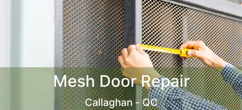  Mesh Door Repair Callaghan - QC