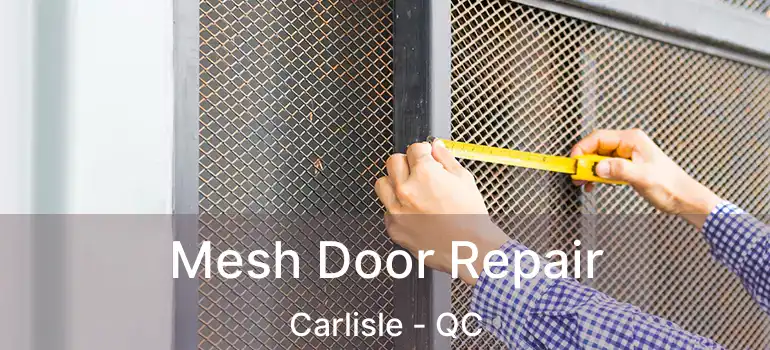  Mesh Door Repair Carlisle - QC