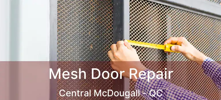  Mesh Door Repair Central McDougall - QC