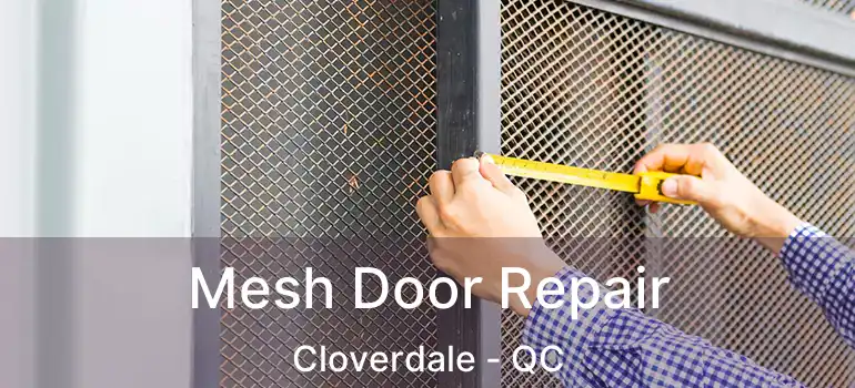  Mesh Door Repair Cloverdale - QC