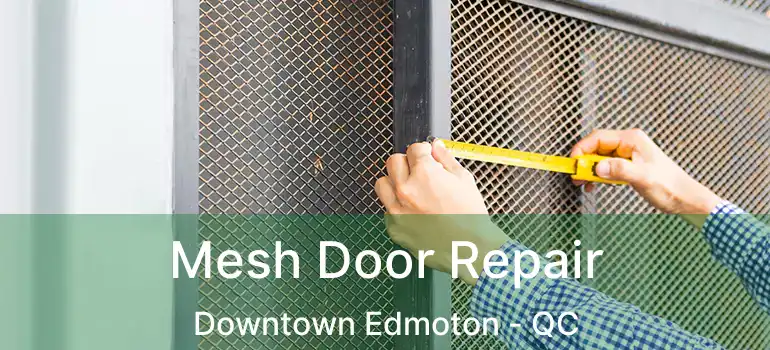 Mesh Door Repair Downtown Edmoton - QC