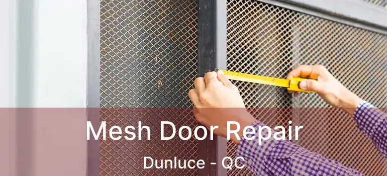  Mesh Door Repair Dunluce - QC