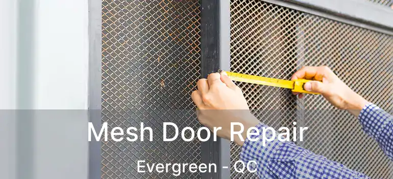 Mesh Door Repair Evergreen - QC
