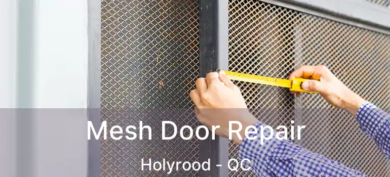  Mesh Door Repair Holyrood - QC