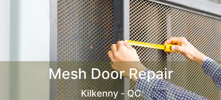  Mesh Door Repair Kilkenny - QC