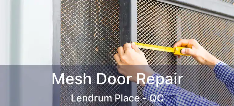  Mesh Door Repair Lendrum Place - QC
