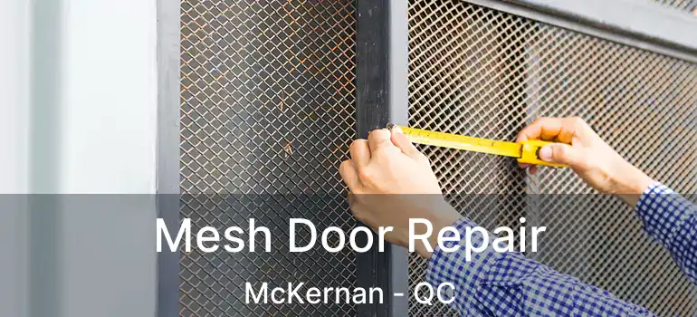  Mesh Door Repair McKernan - QC