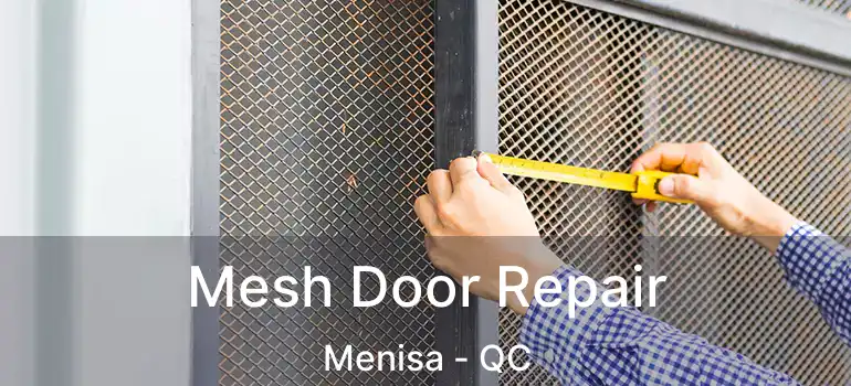  Mesh Door Repair Menisa - QC