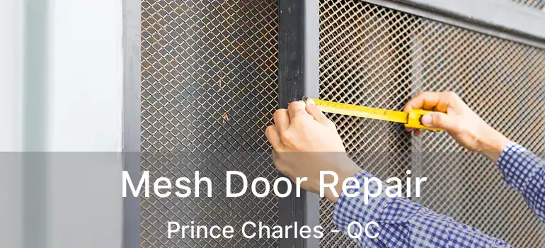  Mesh Door Repair Prince Charles - QC