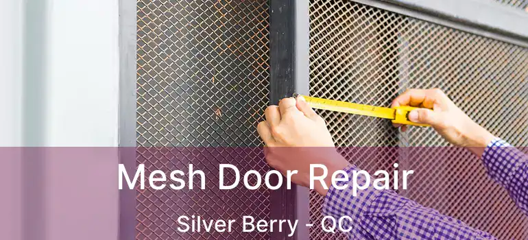 Mesh Door Repair Silver Berry - QC